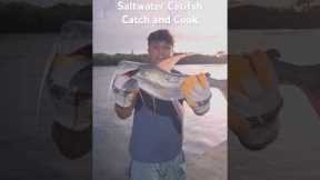 VENOMOUS Saltwater Catfish Catch And Cook