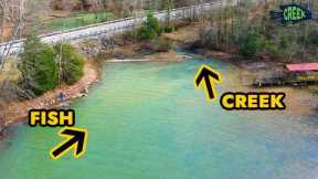 Warm Creek Water had the Fish Schooling