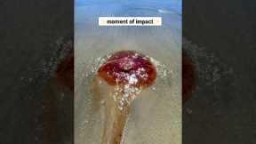 Ouch! I got stung by a dead jellyfish! 😳 #vancouverisland #shorts