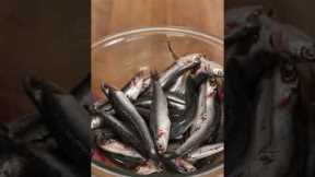 Fresh Anchovies