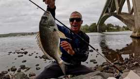 Landbased fishing Central coast (Catch & Cook)