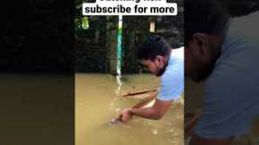 Catching fish in flood time #foryou #fishing