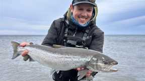 Sweden's Most Unique Trout Population? Fly Fishing Gotland Island