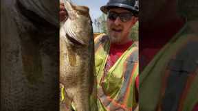 Rescuing Giant Bass from Drained Pond #shorts