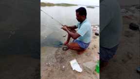 Catching Tasty Fishes with Secret Fish Food #fishing #fishingvideos #thoondilulagam #lakefishing