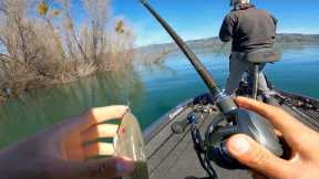 Tough Fishing, Great Company on Clear Lake