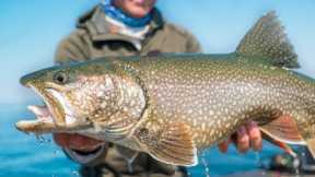 REMOTE FISHING The Largest Lake in The USA -- (MEGA Trout)