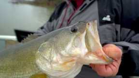 Luckiest Fish Catch -- Spring Fishing on Lake Fork