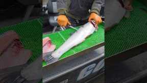 How To Fillet A Fish In Under 60 Seconds!