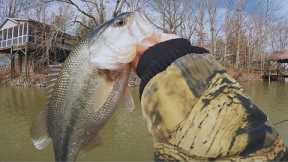 Great Day of February Bass Fishing on Lake Wylie, SC!
