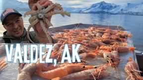 8-Day Alaska Adventure | Shrimping, Fishing, & Squid CATCH & COOK in Prince William Sound!
