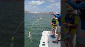 Get the net! #lake #fishing #lakeadventures #bassfishing #wilderness #bass #youtubeshorts