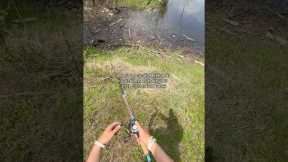Do you believe in this?!😳 #fishing #shorts
