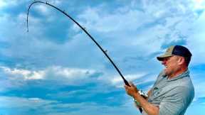 Sharks have RUINED Florida!!! (Catch Clean Cook} Ponce Inlet