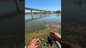 It be like that sometimes 😭 #fishing