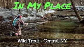 First Trip of 2025! | Fly Fishing Wild Trout - Central NY