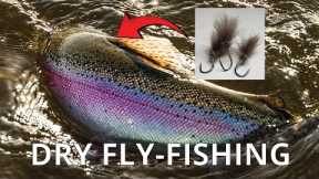My Top Dry Fly Tips for More Takes [Especially When It’s Tough!] Dry Fly-Fishing for Trout