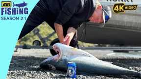 Prime Quality Fish - Catch, Care, Clean, Cook