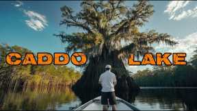 The World's Wildest Flooded Forest - The Ultimate Guide to Fishing Caddo Lake