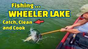 Catching FISH to EAT for DINNER !!! (CATCH,CLEAN and COOK Fish)