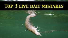 Top 3 LIVE BAIT RIGGING MISTAKES (Underwater Evidence)