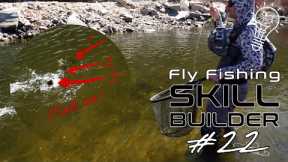 Swinging Wet Flies with Lance Egan! | Fly Fishing Skill Builder #22
