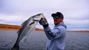 Epic Striped Bass Fishing on Lake Powell! +60 Fish Day – My Best Day Ever!