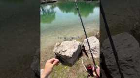 Take a break from SCROLLING!🗣️ #fishing #shorts