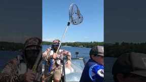 THREATEN to LEAVE,  BASS WILL EAT! #cornfieldfg #bassfishing #fishing #bass #lake #boat  #fypviralシ