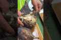 EPIC Catch & Cook: Grilling 4