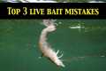 Top 3 LIVE BAIT RIGGING MISTAKES