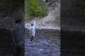 How To Fly Fish Fast Moving Water