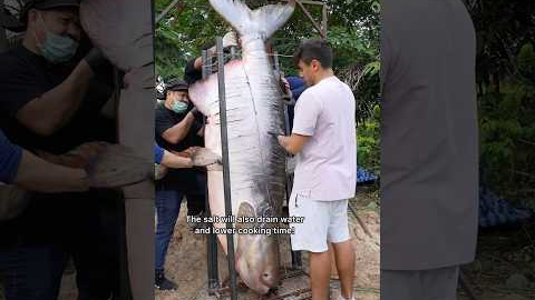 Cooking The World’s Largest Fish