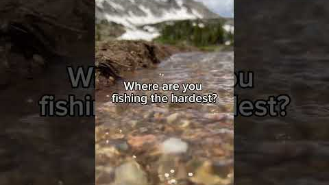 Where are you fishing the hardest? 💀 #fishing #shorts