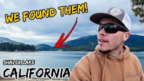 This California Lake has Landlocked Salmon! Catch and Cook!
