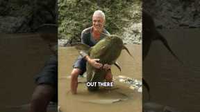 The River Monster Fish Ended!