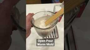 How To Make Open Pour Worm Soft Plastic Molds Out Of Plaster! #shorts