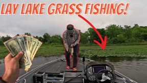 Fishing For $4,000 Dollars! (Lay Lake Tournament)