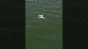 Casting to 1000’s of Hungry Fish