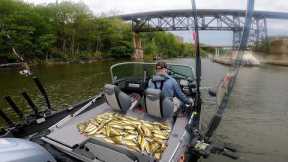 Lake Erie Yellow Perch Fishing – Best Day of the Season?