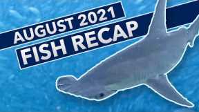 Underwater Fish Cam - August 2021 Recap