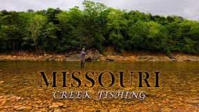 Exploring a Roadside Creek in Missouri // Fly Fishing for Ozark Smallmouth!