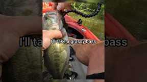 Grassy Bass Anyone? #kayak #bassfishing #shorts