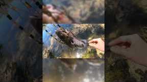 Fishing at Little lake! #fishing #fisherman #bassfishing