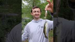 Every Size Fish Love Topwater Lures #fishing #bigfish #fishingcontent