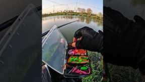 Second Catch at the lake | Fishing 🎣 with the lure
