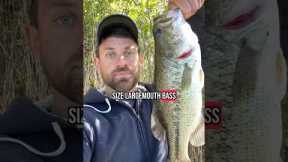 Fishing at Wolf Lake 🎣 #fishing #fishinglife #fishingvideo #fishingtime