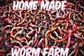 Home Made (DIY) Worm Farm: For Fishing