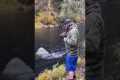 HUGE Salmon on the FIRST CAST