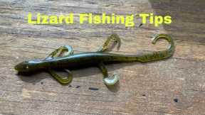 How To Rig And Fish A Soft Plastic Lizard
